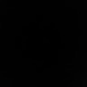 Meet your Posher, Bo